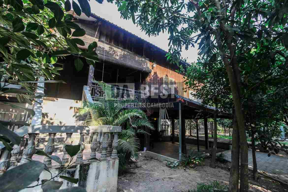 House for Rent in Siem Reap-Svay Dangkum