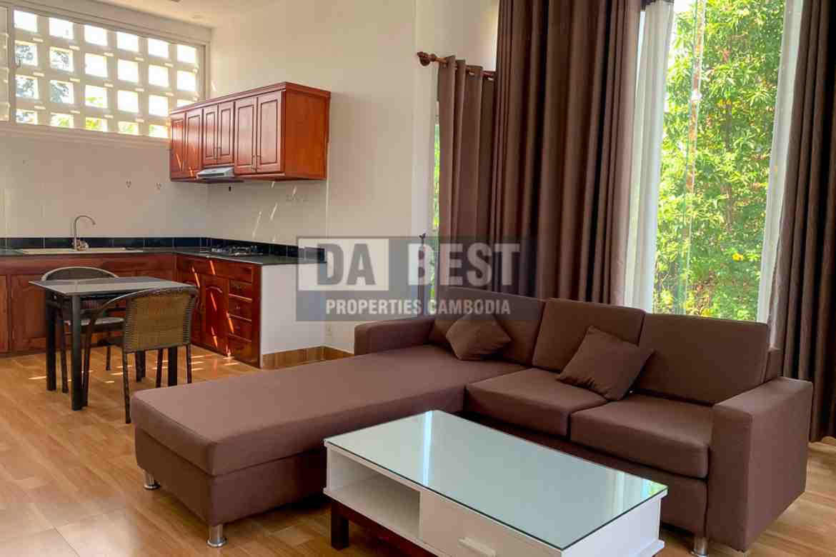 Modern Convenient 1 Bedroom Apartment For Rent In Siem Reap (5)