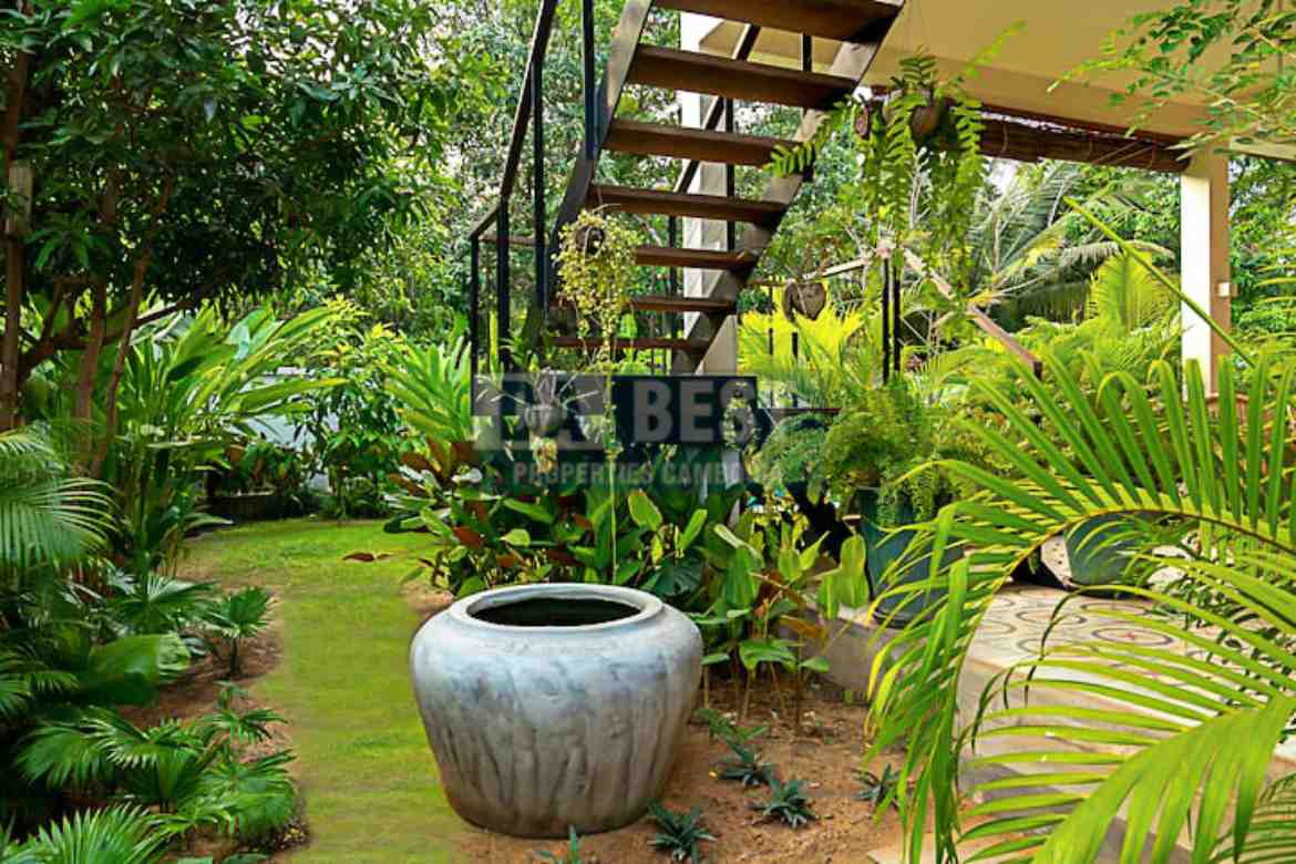 Private House With Swimming Pool For Sale in Krong Siem Reap - Garden